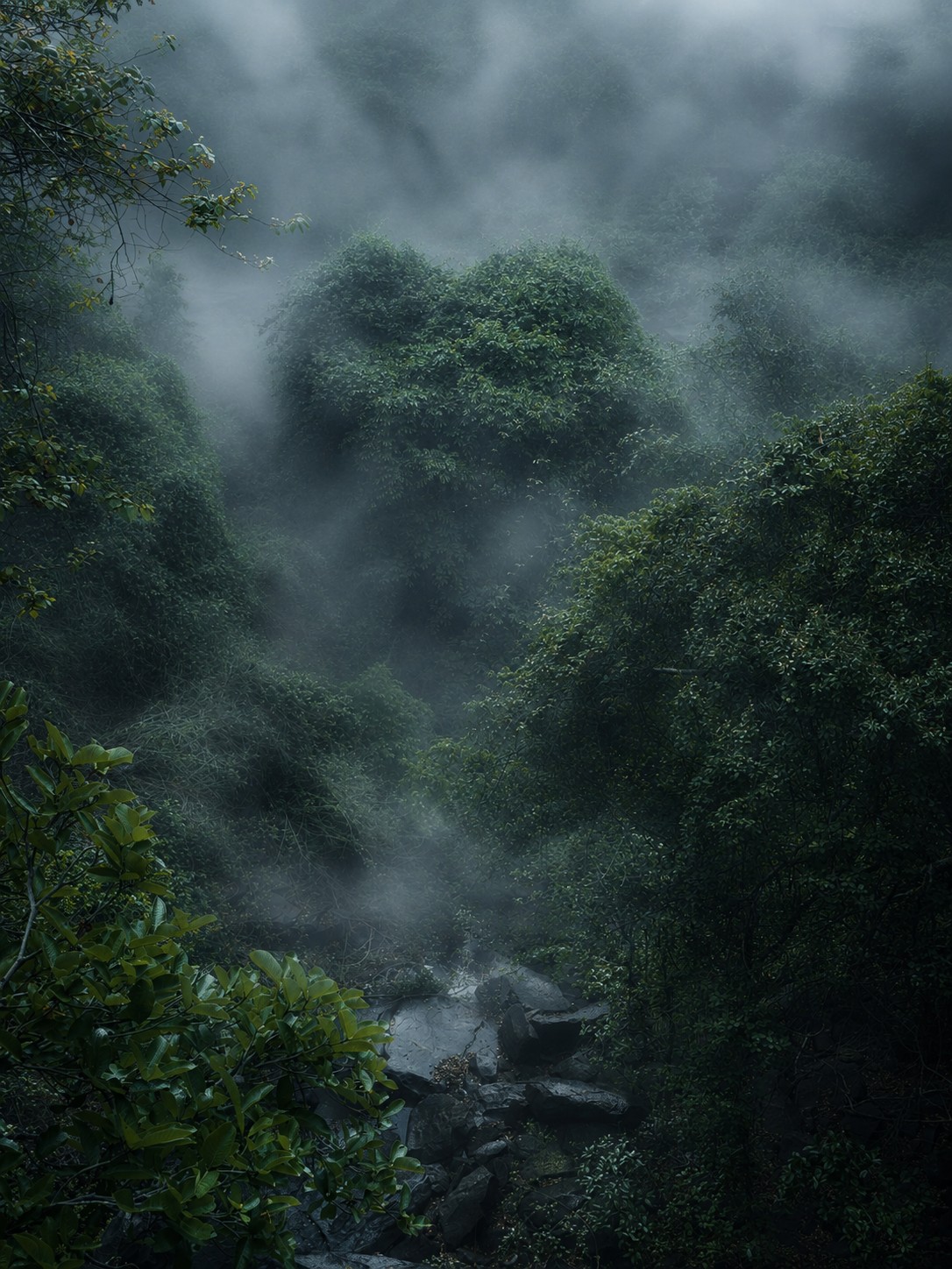 Waterfall & Canyon View