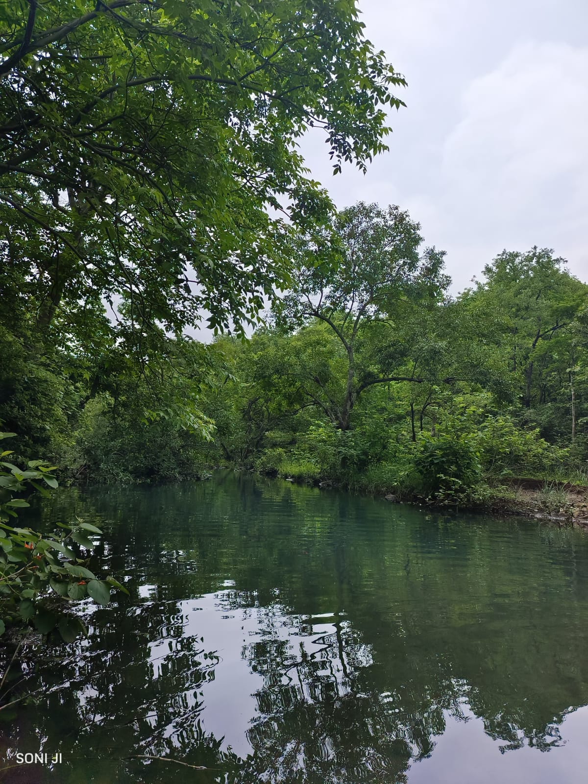 Nature Photography