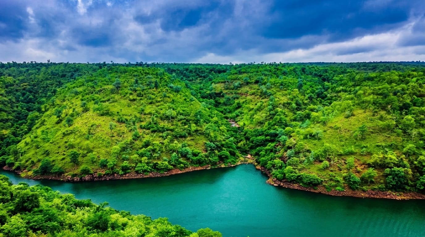 Nallamala Forest