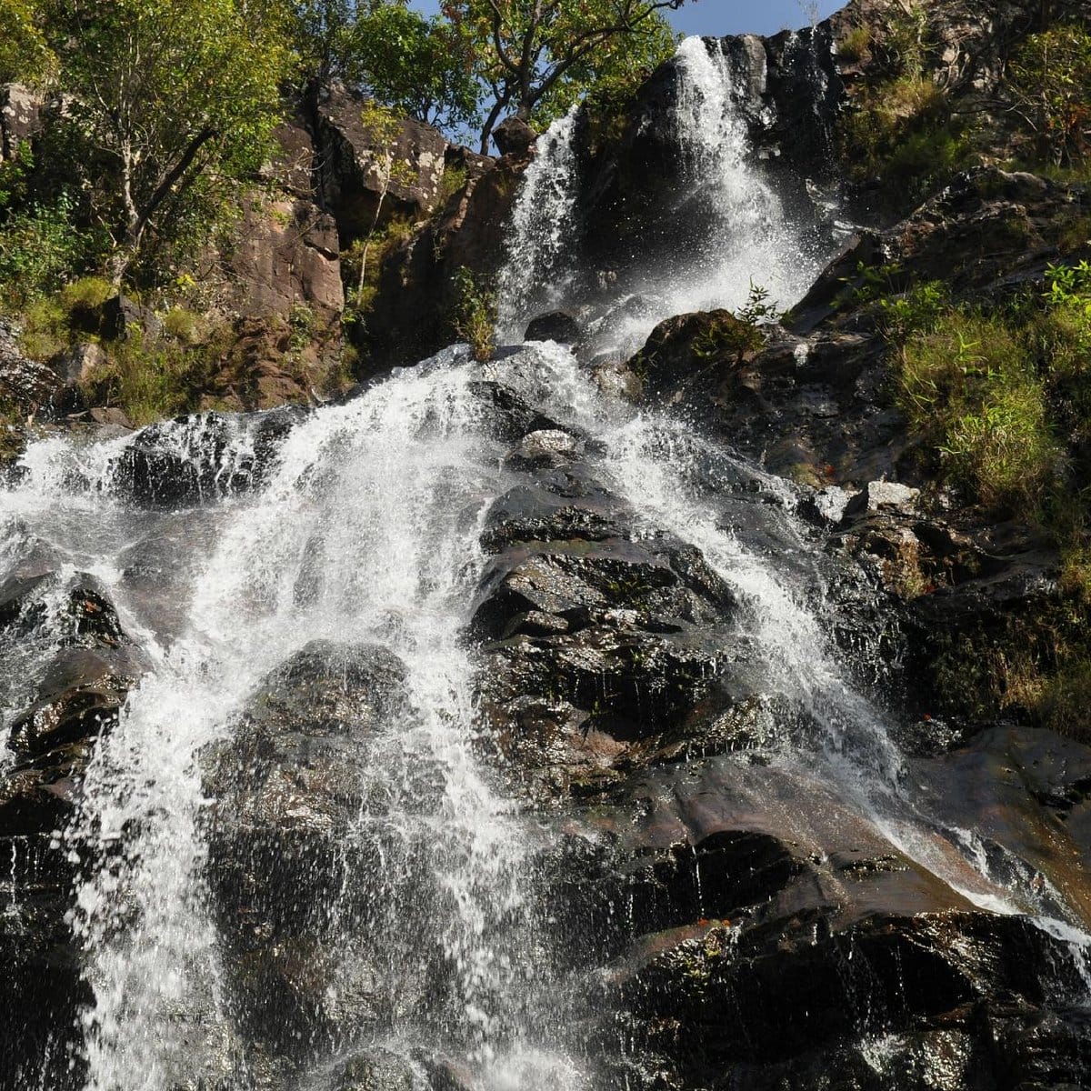 Bee Falls